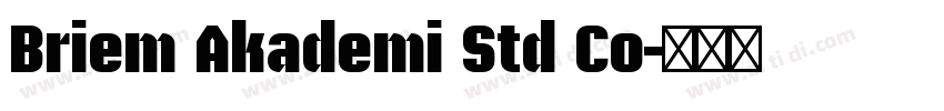 Briem Akademi Std Co字体转换